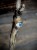 IMG_8338.jpeg