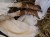 IMG_9828.jpeg