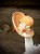 IMG_0301.jpeg