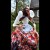 quicksquarenew_202442413107225.jpg
