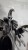 b2907c1a-3ae0-40b3-b924-f93f7c8493ea.jpeg