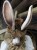 7207dbe3-80cc-439c-8a3f-cddf0bc54ad5.jpeg