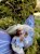 bb88291f-97ec-43fa-b811-bd8e51e2730b.jpeg