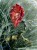 IMG_8824.jpeg