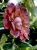 IMG_8794.jpeg