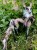 IMG_8881.jpeg