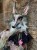 IMG_8884.jpeg