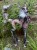 IMG_8874.jpeg